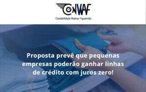 Proposta Prevê Que Pequenas Empresas Poderão Ganhar Linhas De Crédito Com Juros Zero Conwaf - Contabilidade no Rio de Janeiro | CONWAF Contabilidade