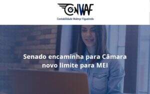 Senado Encaminha Para Câmara Novo Limite Para Mei Conwaf - Contabilidade no Rio de Janeiro | CONWAF Contabilidade