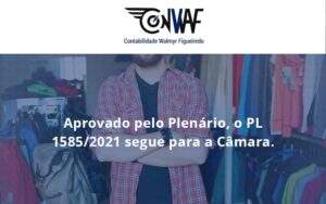 Aprovado Pleno Plenario O Pl 15852021 Segue Para A Camara Conwaf - Contabilidade no Rio de Janeiro | CONWAF Contabilidade